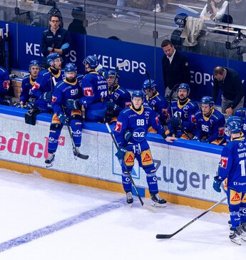 Spieler und Betreuer des EV Zug an der Spielerbank während des Heimspiels gegen Lausanne. Die Benedict-Werbung ist auf der Bande gut sichtbar.