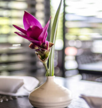 Elegantes Tischsetting im White Elephant Restaurant, akzentuiert durch zarte Blumendekoration in einem stilvollen Vasen, umgeben von geschmackvoll ausgewähltem Geschirr und Gläsern auf einem liebevoll arrangierten Esstisch, der zum Verweilen einlädt.