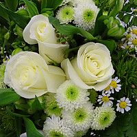 Benedict Diplomfeier St. Gallen, 23. November 2016