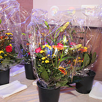 Benedict Handels- & Kaderschule - Diplomfeier 14.11.20214