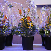 Diplomfeier Benedict / BVS Zürich, 11. Mai 2018