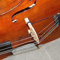 Benedict St. Gallen - Diplomfeier 13. November 2014