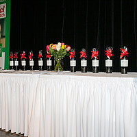 Diplomfeier Benedict / BVS Luzern, 22. November 2019