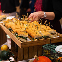 Diplomfeier Benedict/BVS Zürich 15. November 2024