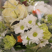 Diplomfeier Benedict / BBS St. Gallen, 23. Mai 2018