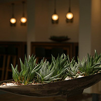 Diplomfeier Benedict / BVS Zürich, 13. Juli 2017