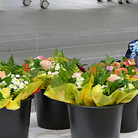 Diplomfeier Benedict / BBS St. Gallen, 05. Juli 2018