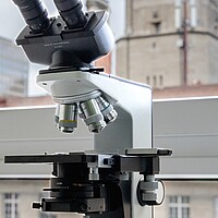 Fotogalerie - Benedict Zürich, Bern, Luzern, St. Gallen